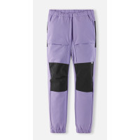 Штаны Reima Vaeltaa 5100260A-5450